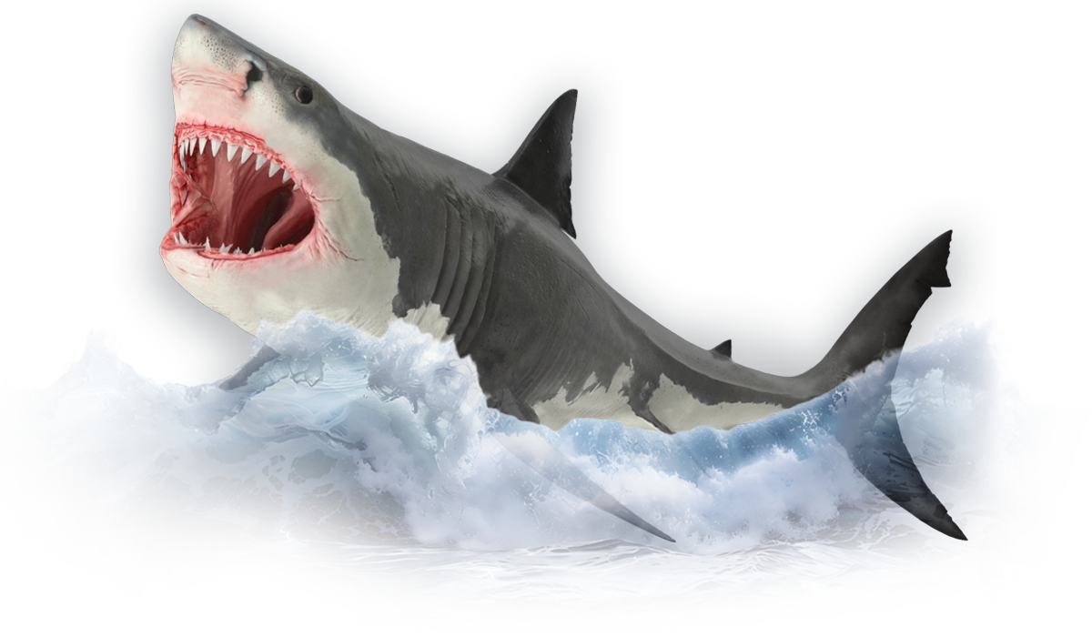 Dominate Like a Shark